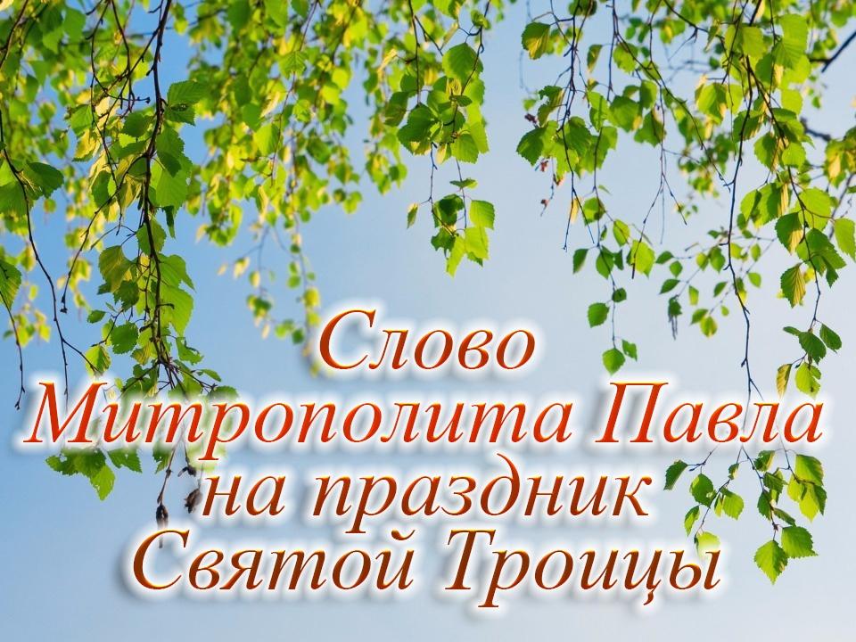 Слово Митрополита Павла на праздник Святой Троицы (slovo-mitropolita-pavla-na-prazdnik-svjatoj-troitsy) Другое