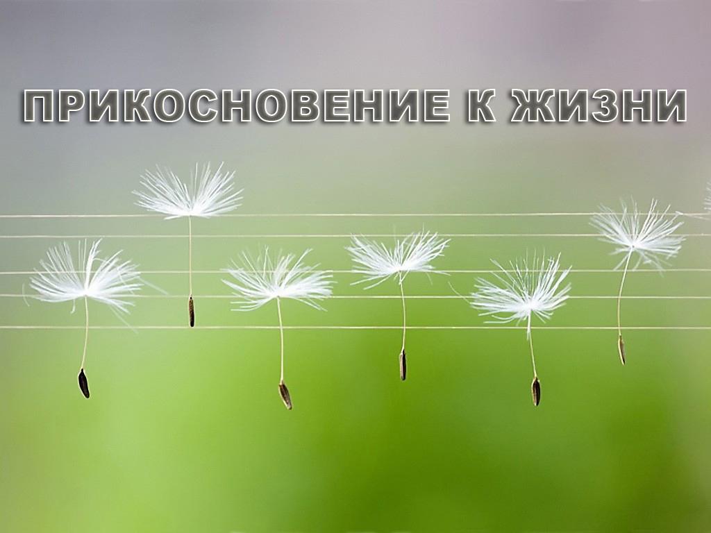 Прикосновение к жизни (prikosnovenie-k-zhizni) Музыка