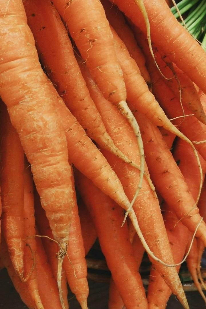 Способ избавиться от морковной мухи (sposob-izbavitsja-ot-morkovnoj-muhi) Досуг, хобби