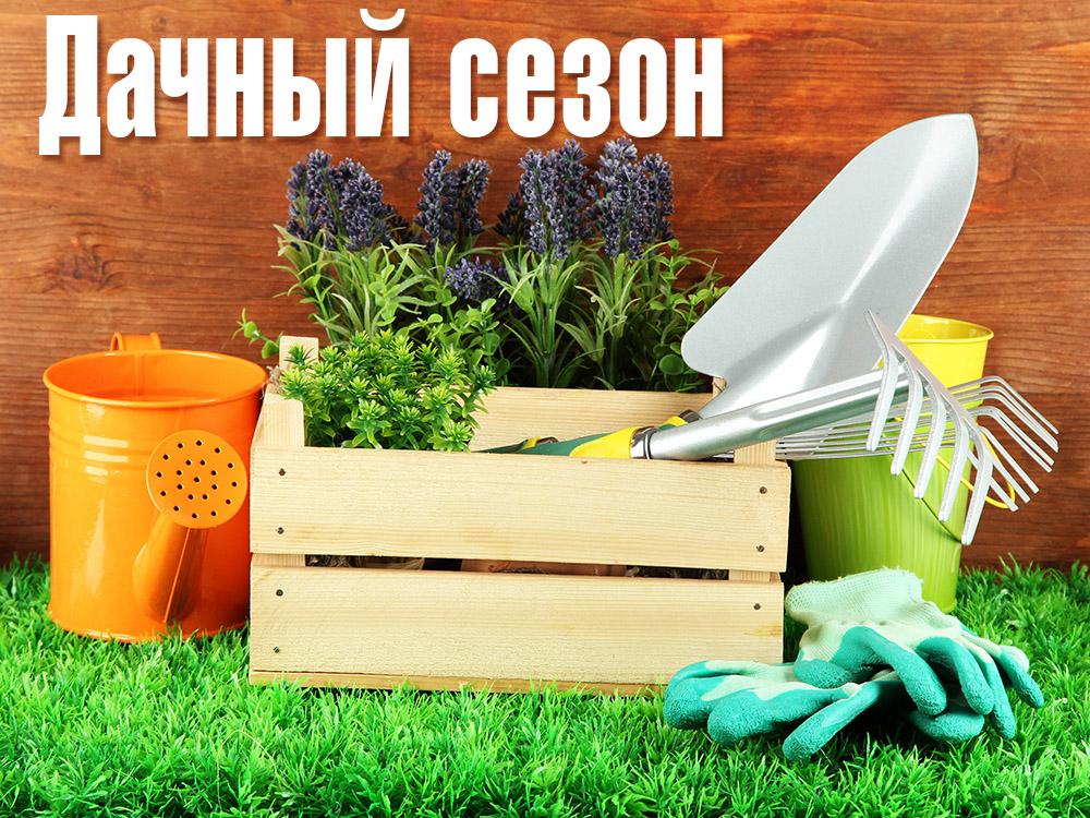 Дачный сезон (dachnyj-sezon) Документальный фильм