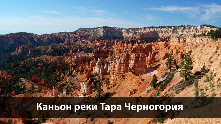 Постер Каньон реки Тара Черногория