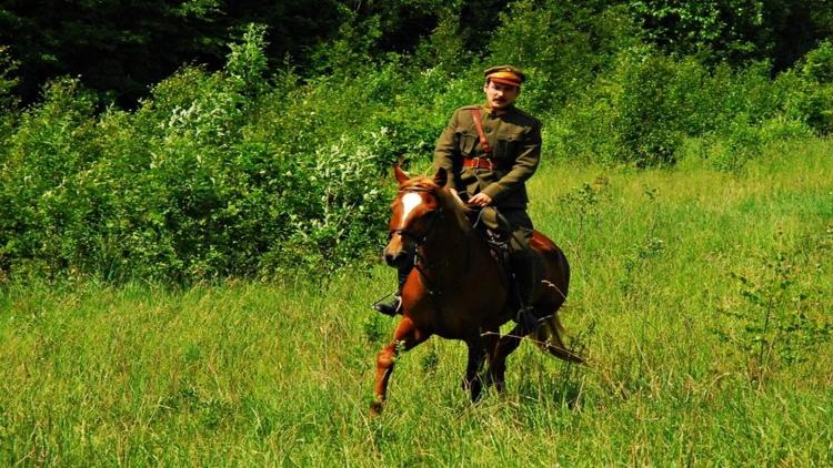 Постер Цена свободы. Добровольцы