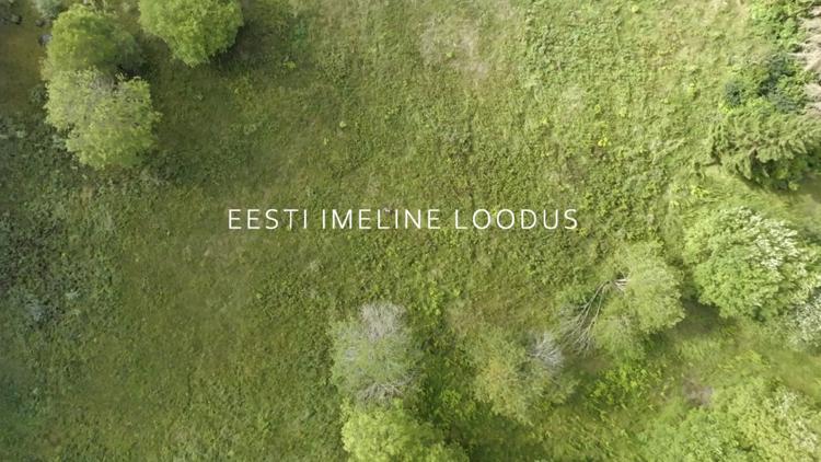 Постер Eesti imeline loodus