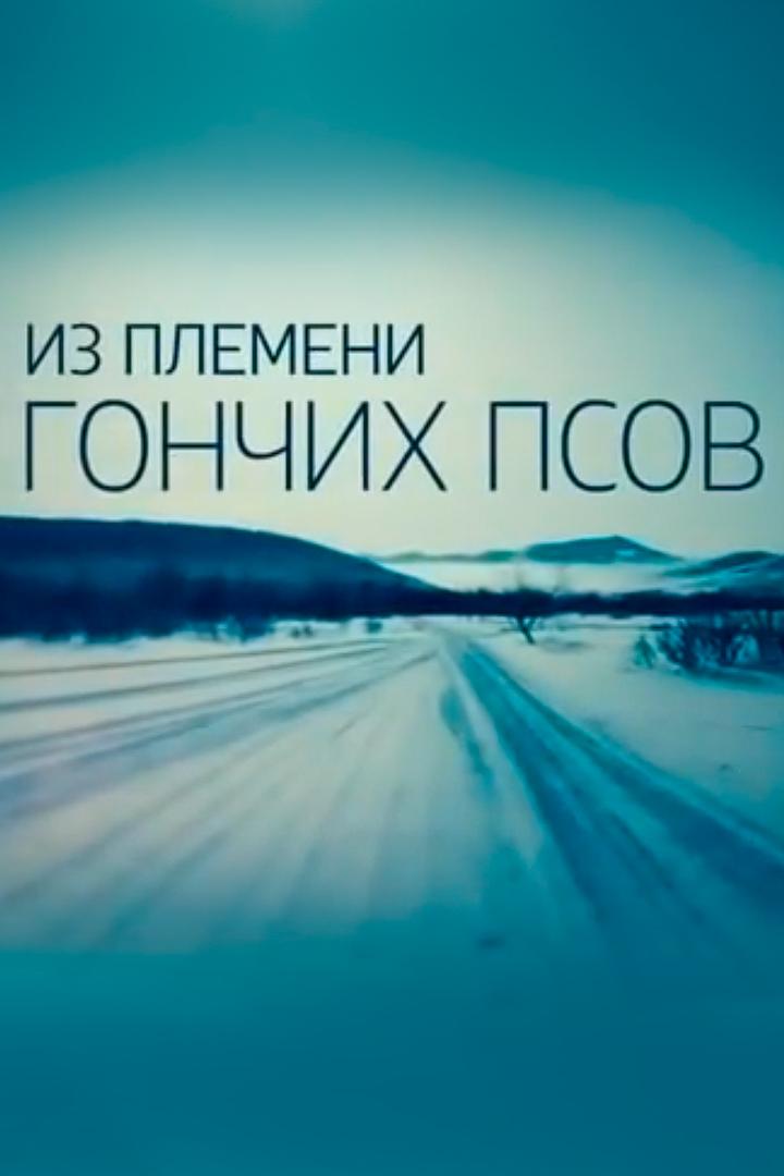 Из племени гончих псов (iz-plemeni-gonchih-psov) Документальный фильм