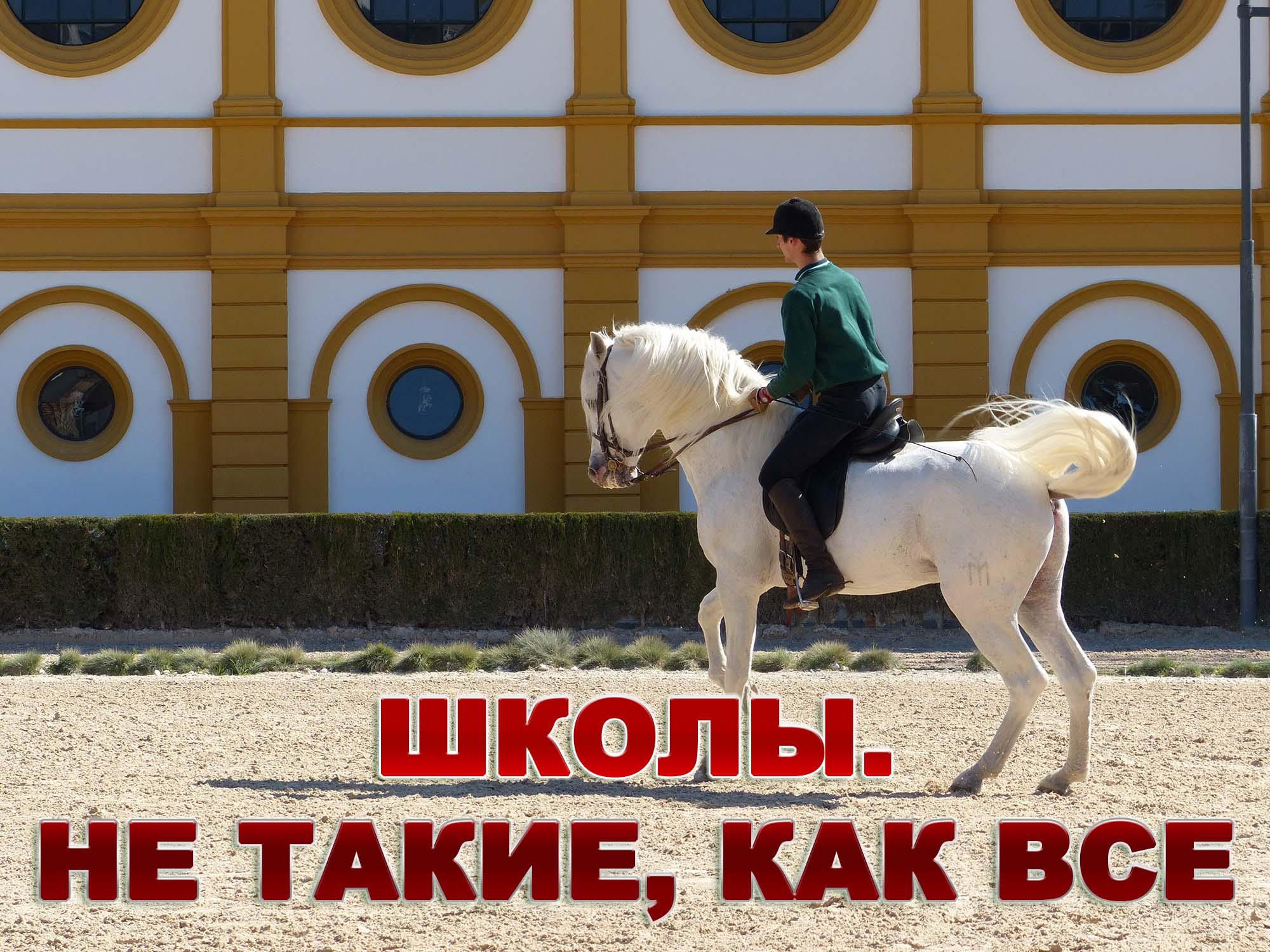 Школы. Не такие, как все (shkoly-ne-takie-kak-vse) Документальный сериал
