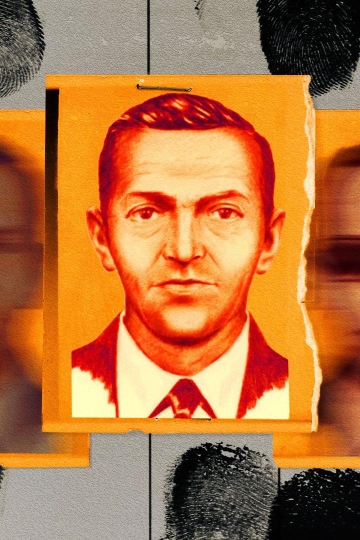 Mystery of the Disappearing Skyjacker (mystery-of-the-disappearing-skyjacker) Досуг, хобби