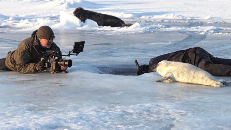 Постер Chasing Walrus (With A Stubborn Photographer)