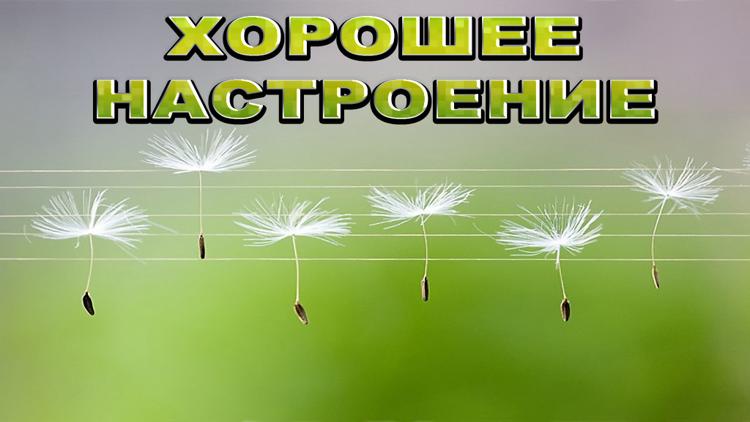 Постер Хорошее настроение