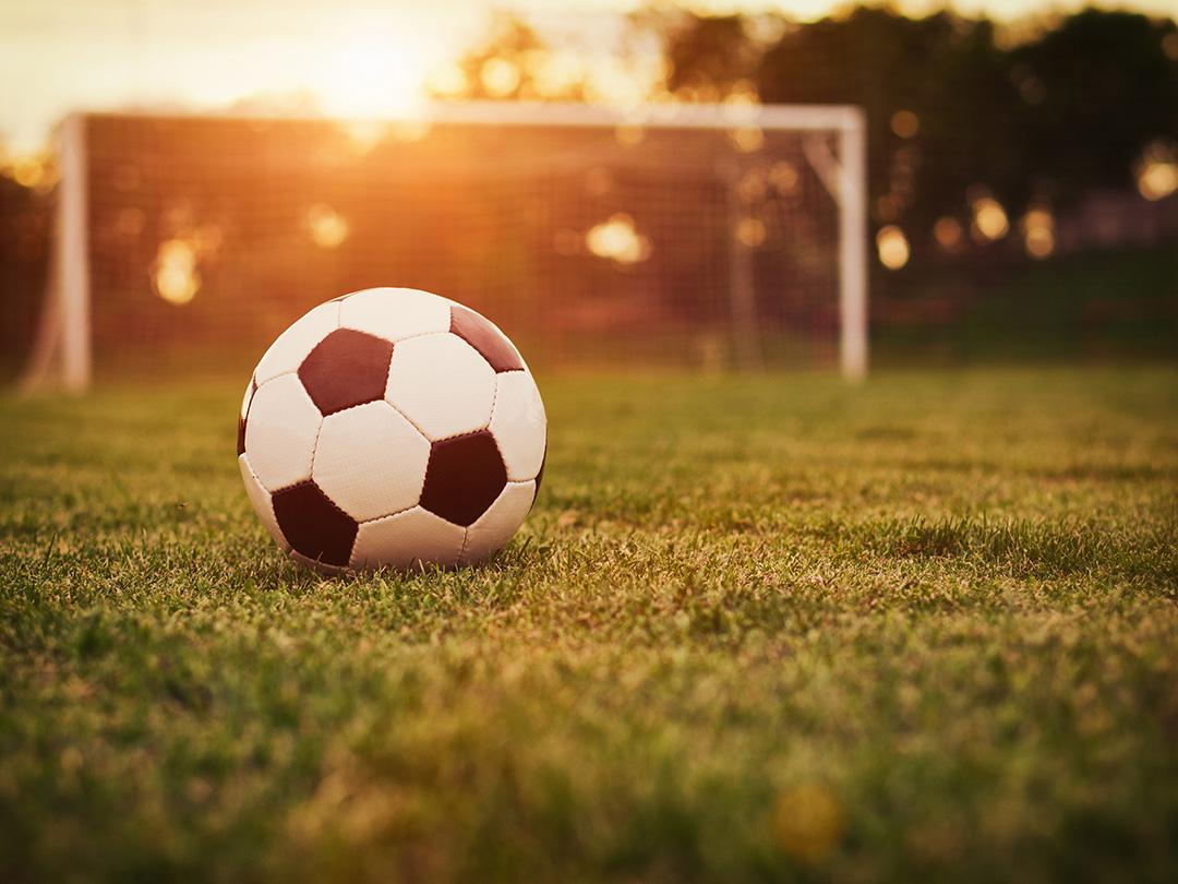 2006 FIFA: Чемпионат мира по футболу (2006-fifa-chempionat-mira-po-futbolu) Документальный фильм