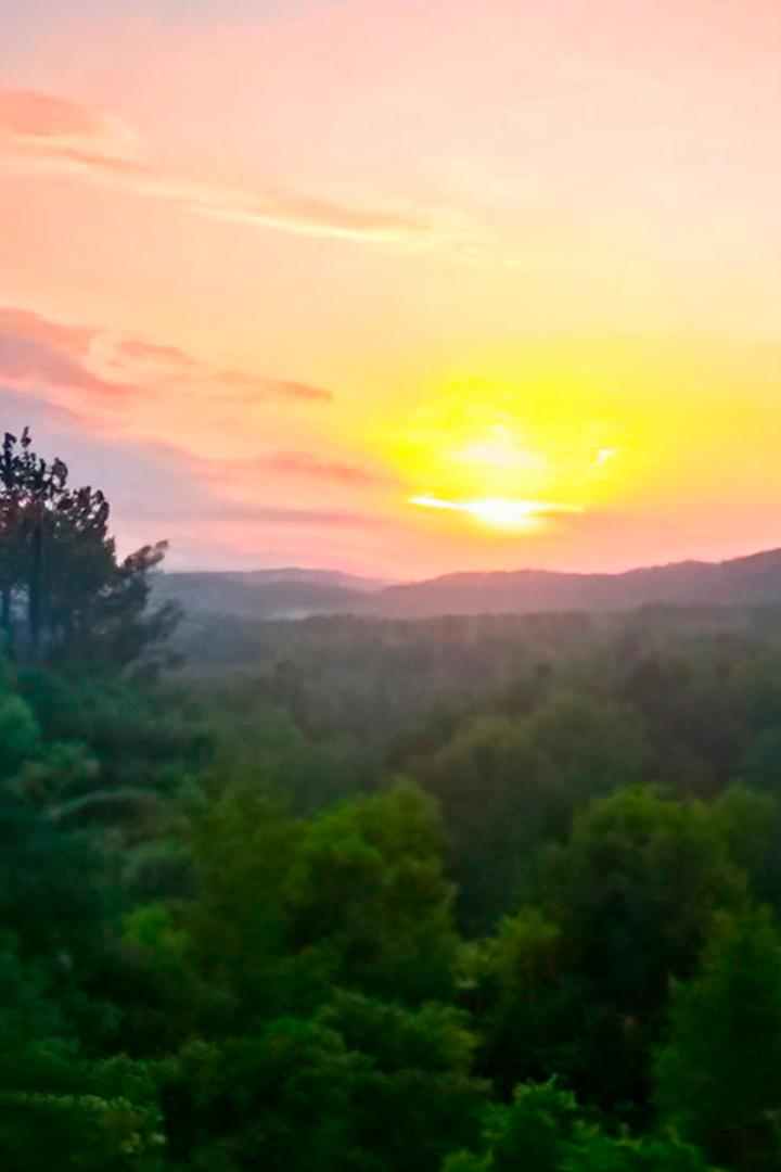 Лес - моя биография (les-moja-biografija) Документальный фильм