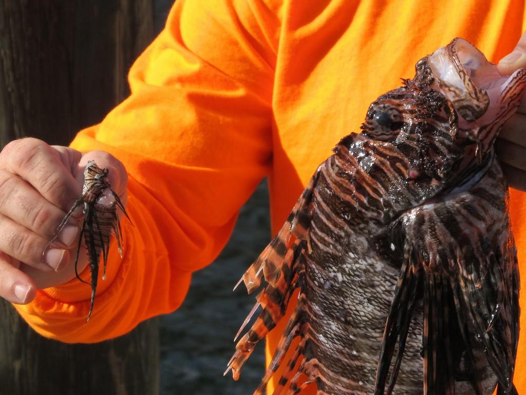 Природа против человека (priroda-protiv-cheloveka) Документальный сериал