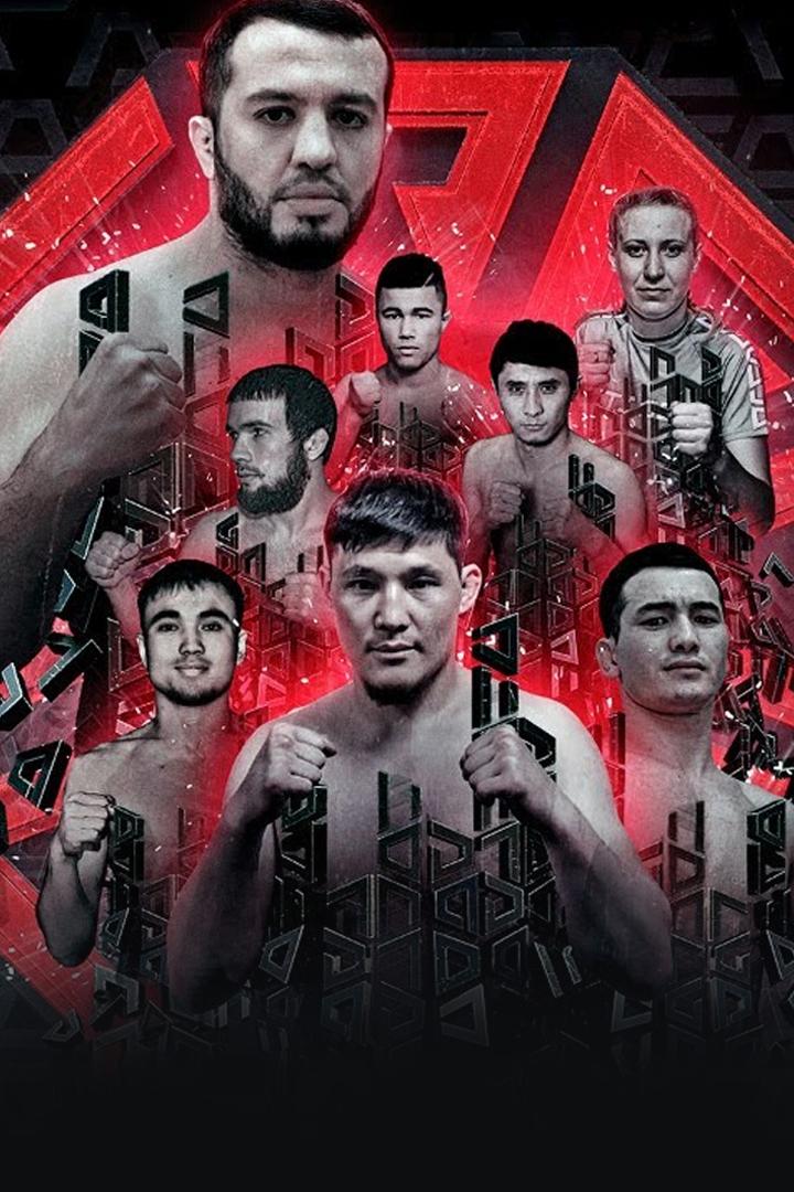 Шоу Octagon 19 (MMA, профессионалы) (shou-octagon-19-mma-professionaly) ТВ-шоу