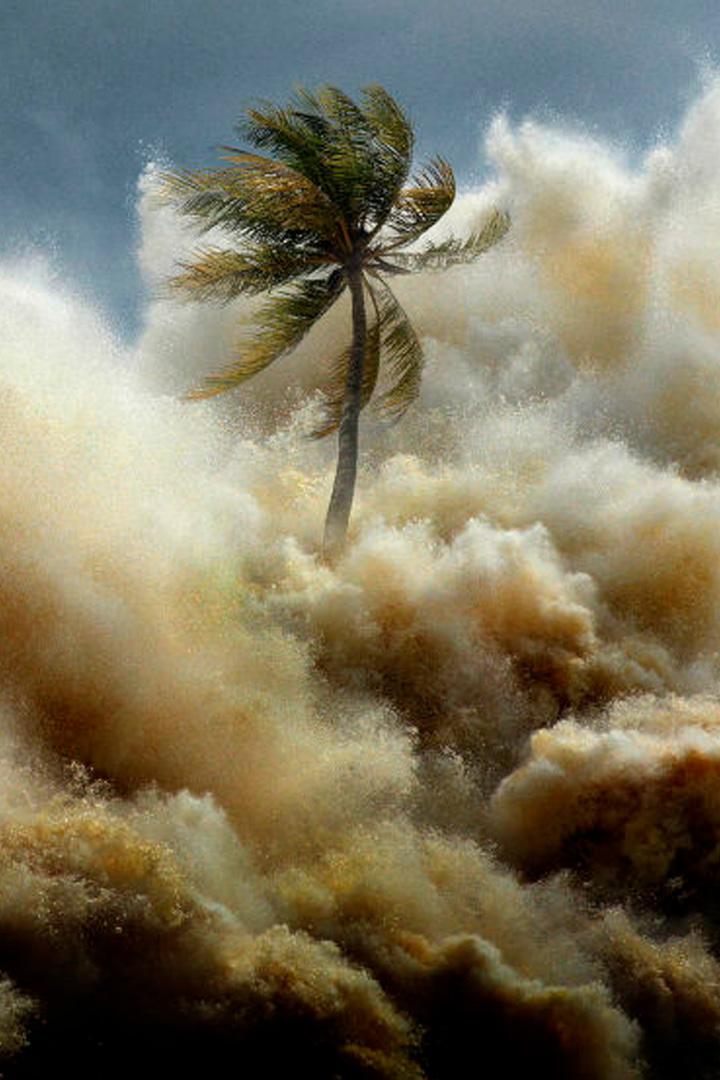 Цунами: наперегонки со временем (tsunami-naperegonki-so-vremenem) Документальный сериал