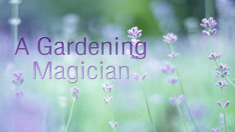 Постер A Gardening Magician