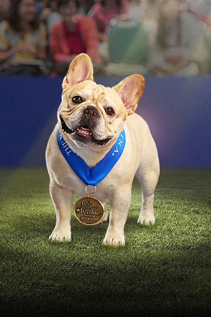 The National Dog Show (the-national-dog-show) ТВ-шоу