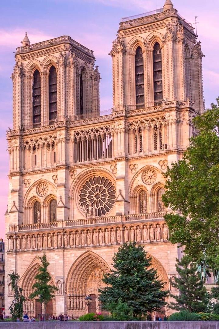 Notre - Dame. Feniks z popiołów (notre-dame-feniks-z-popiow) Досуг, хобби