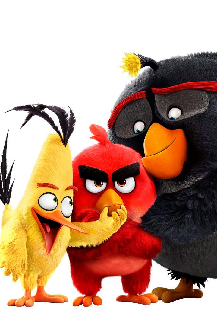 Angry Birds в кино (angry-birds-v-kino) Мультфильм 2016