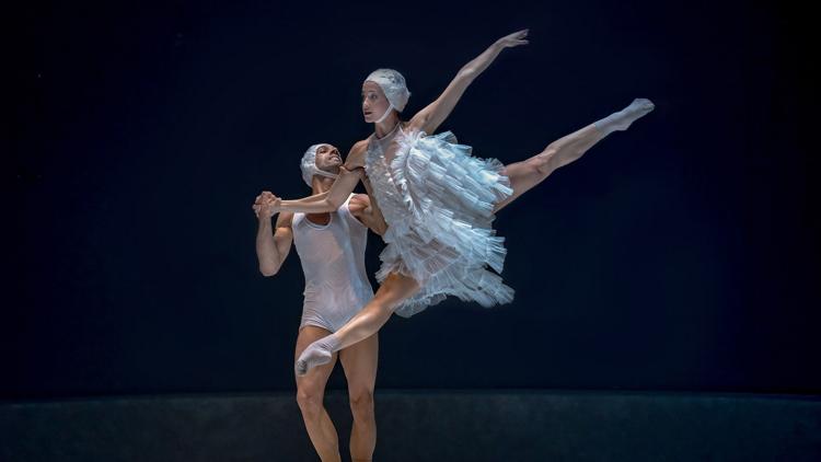 Постер «El Lago», La Mov, Фестиваль Festival Le Temps d'aimer la danse Biarritz