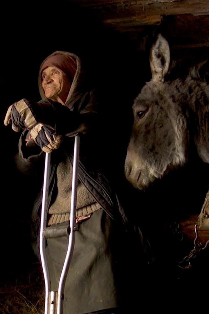 Izolaţi în România (izolai-n-romnia) Документальный сериал
