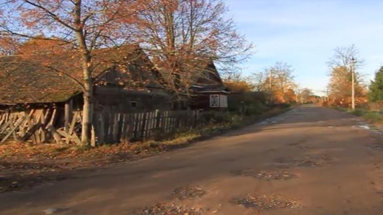 Постер Водь. Возвращение домой