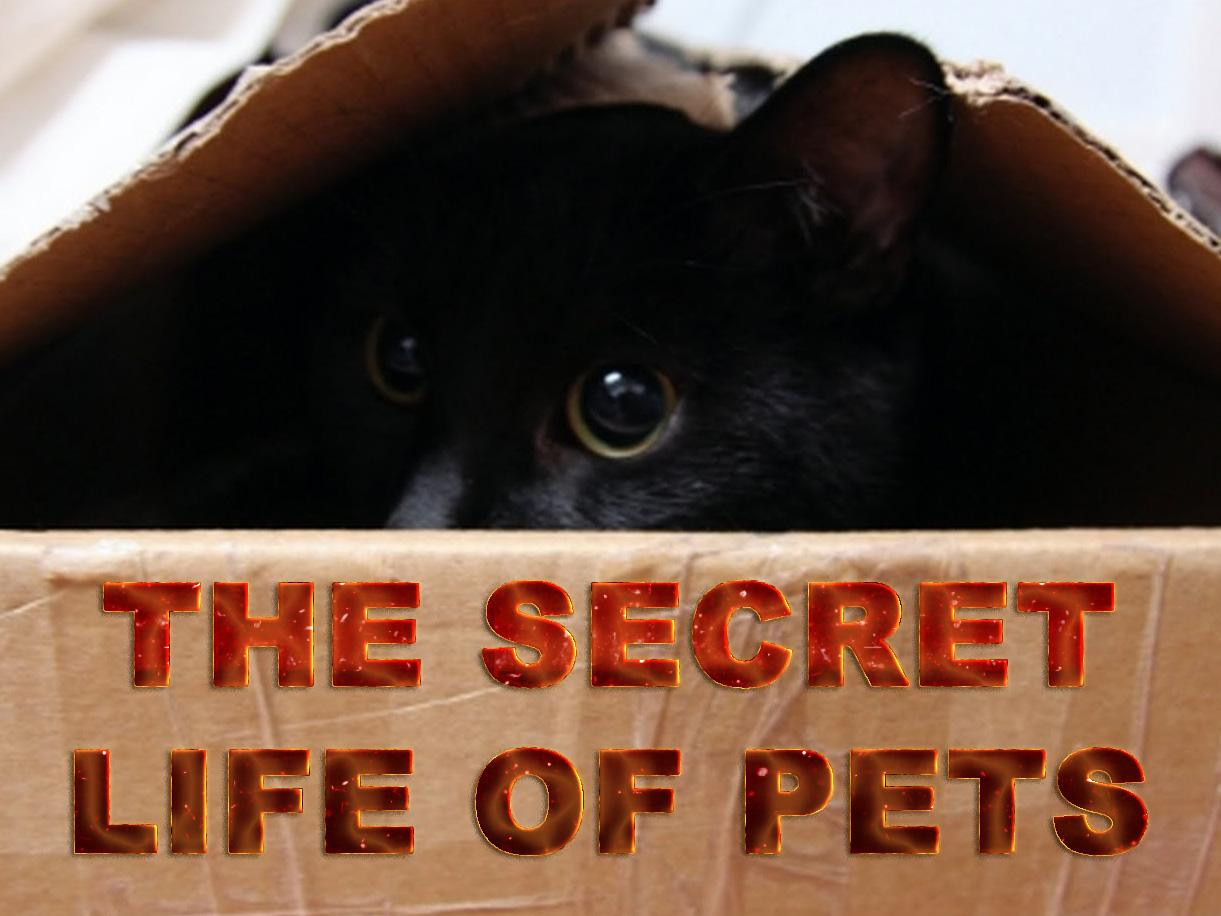 The Secret Life Of Pets (the-secret-life-of-pets) Документальный сериал