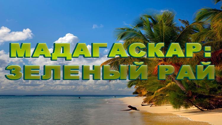 Постер Мадагаскар: зеленый рай