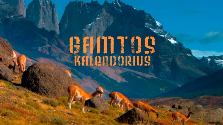 Постер Gamtos kalendorius