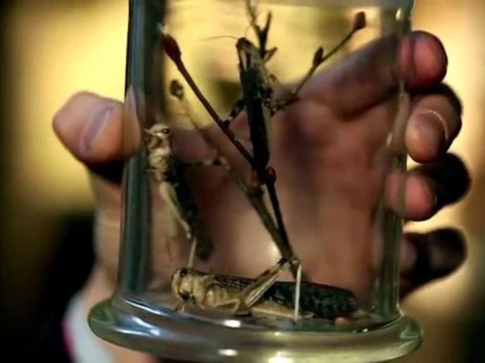 Новый век Вернадского (novyj-vek-vernadskogo) Документальный фильм