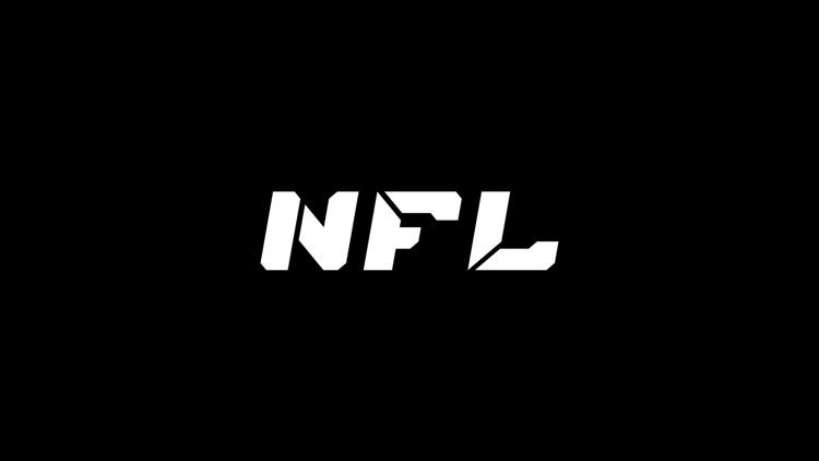 Постер Смешанные единоборства. Лига NFL. Заурбек Сидаков против Анзора Закуева. Руслан Белхароев против Магомеда Магомедова. Трансляция из Ингушетии