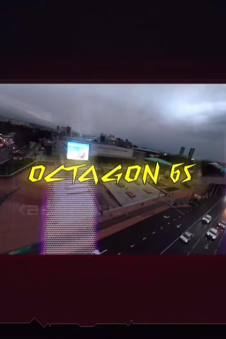 Шоу Octagon 65 (MMA, профессионалы) (shou-octagon-65-mma-professionaly) Досуг, хобби
