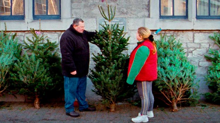 Постер Un Noël en Irlande