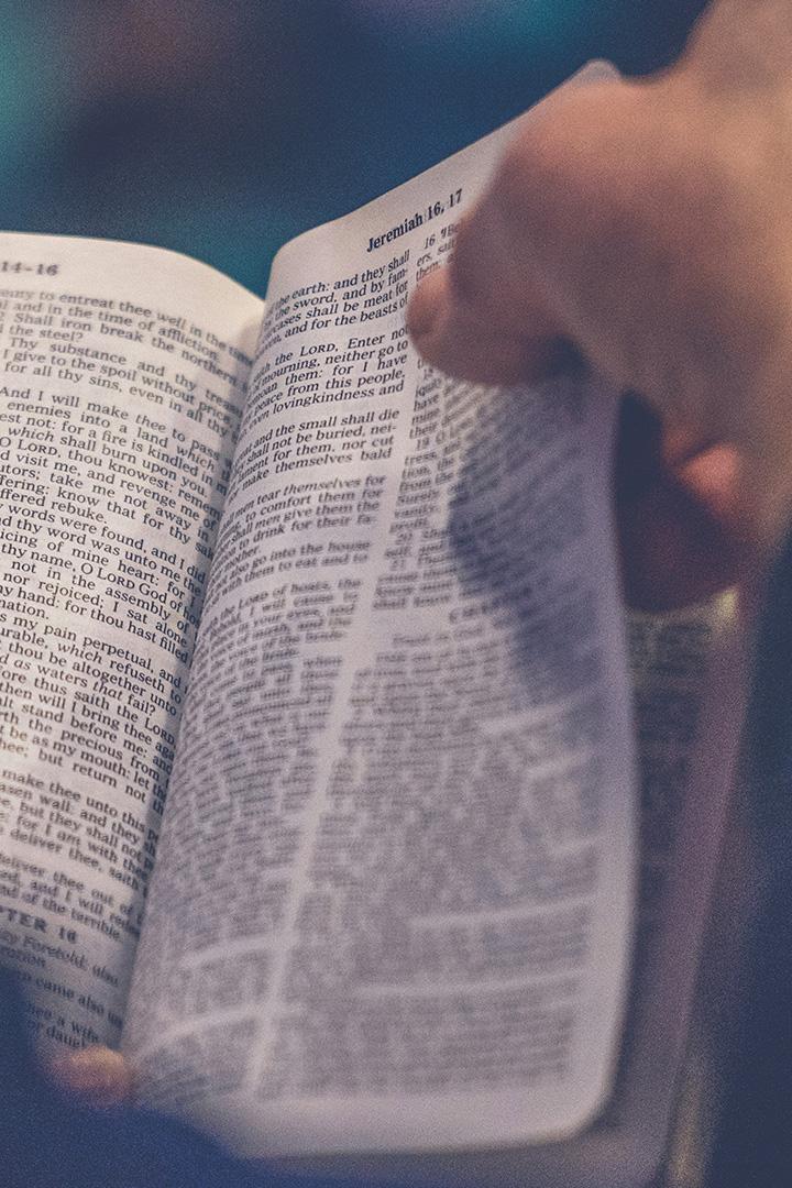 Słowo kard. Grzegorza Rysia na Boże Narodzenie (sowo-kard-grzegorza-rysia-na-boe-narodzenie) Другое