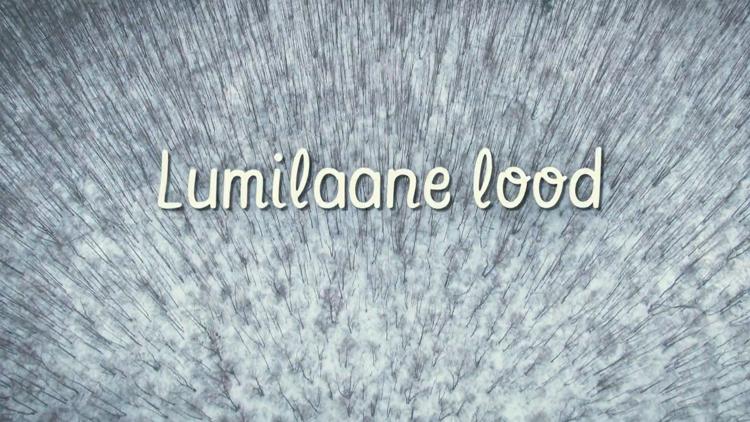 Постер Lumilaane lood