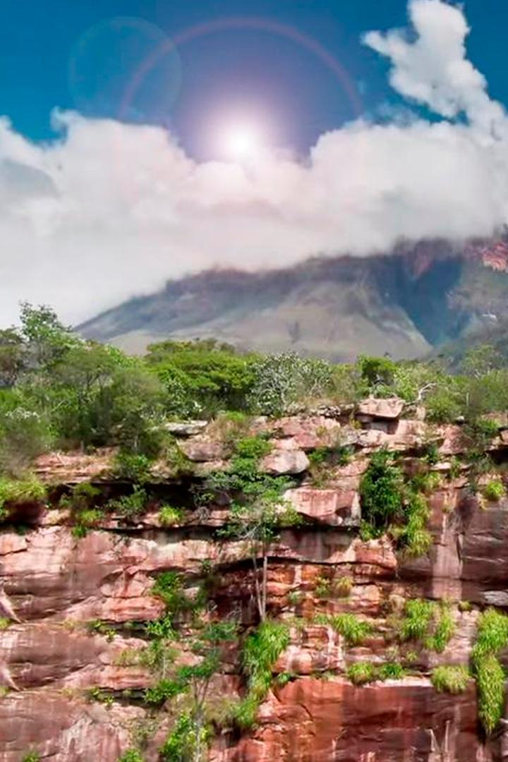 Venezuelas Tafelberge - Expedition ins Haus der Götter (venezuelas-tafelberge-expedition-ins-haus-der-gtter) Документальный фильм