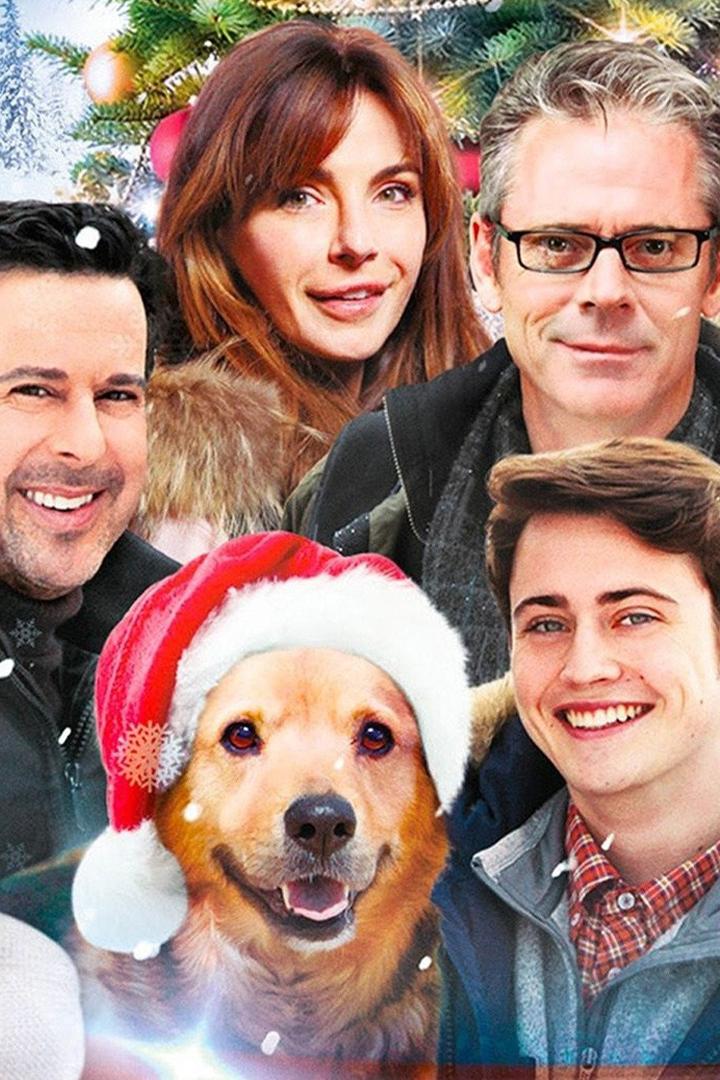 A Magic Christmas (a-magic-christmas) Фильм 2014