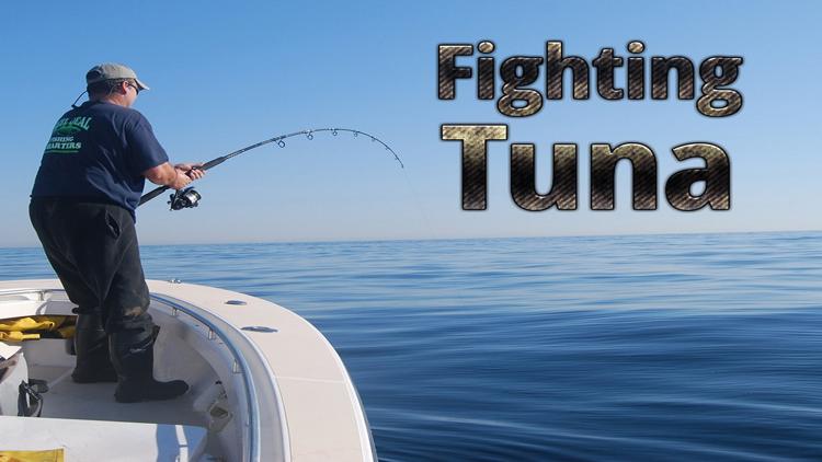 Постер Fighting Tuna