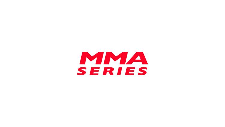 Постер MMA Series. Топ бойцов полулегкого веса 2024