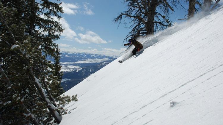 Постер Höhenflüge und Abstürze: Skispringer Andreas Wellinger