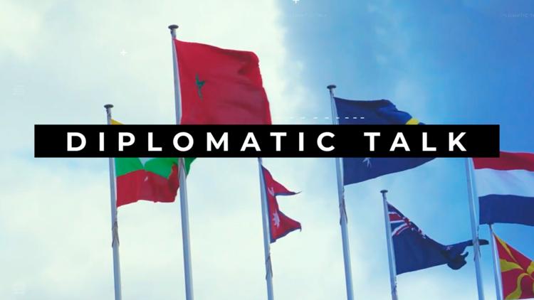 Постер Diplomatik Talk