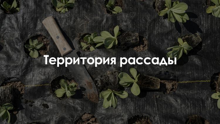 Постер Территория рассады