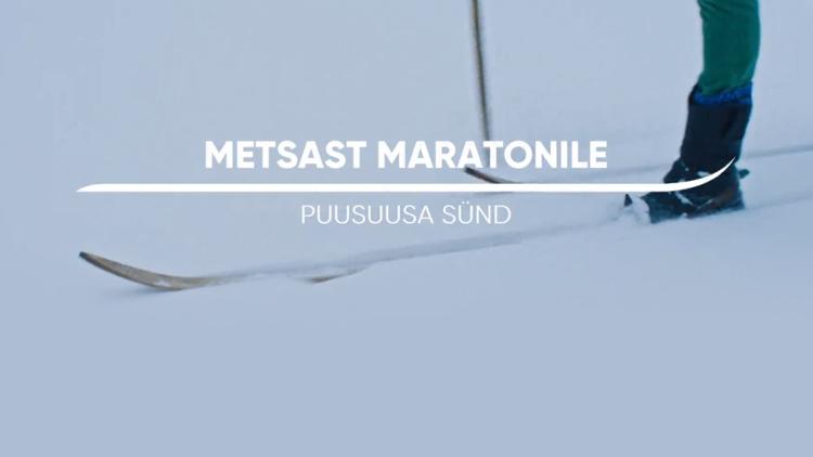 Постер Metsast maratonile. Puusuusa sünd