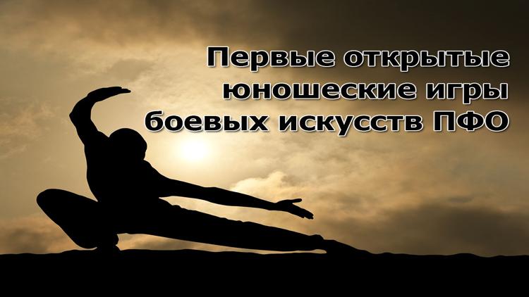 Постер Первые открытые юношеские игры боевых искусств ПФО