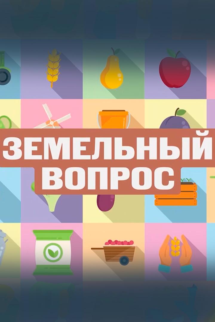 Земельный вопрос (zemelnyj-vopros) Другое