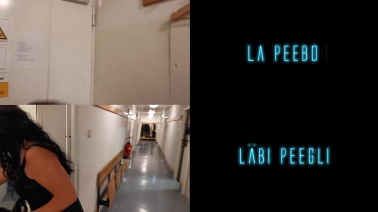 Постер La Peebo läbi peegli