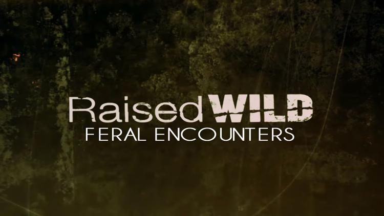 Постер Raised Wild: Feral Encounters