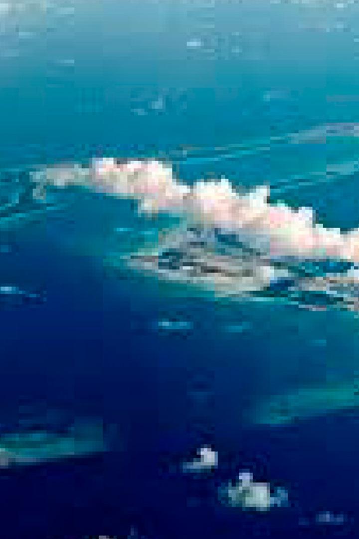 Les îles Chagos, un archipel protégé (les-les-chagos-un-archipel-protg) Документальный фильм