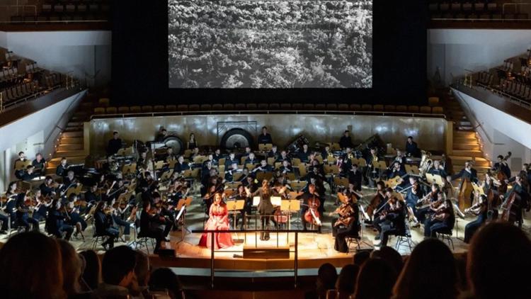 Постер Concierto Amazônia, Gran Teatre del Liceu