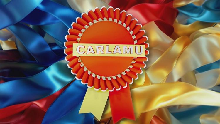 Постер Carlamu