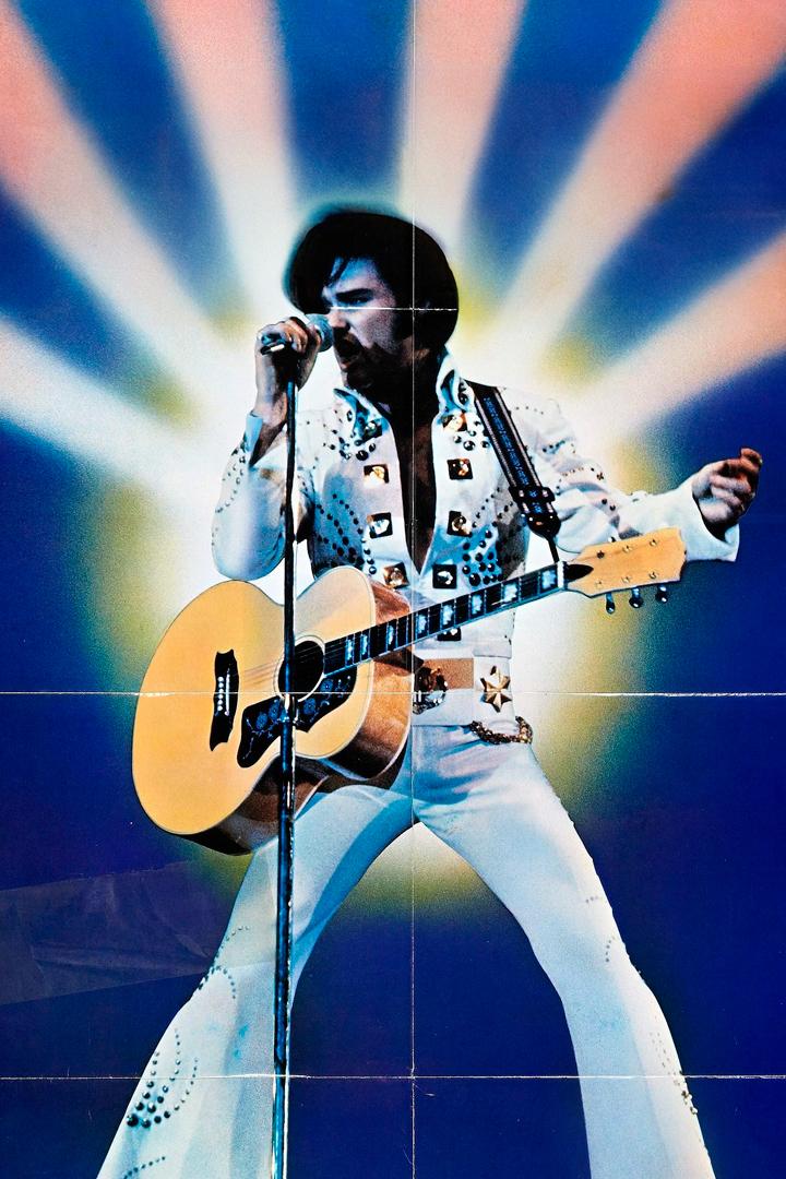 Элвис (elvis) Фильм 1979