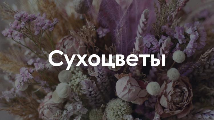 Постер Сухоцветы